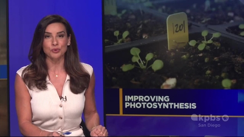 Thumbnail for Improving Photosynthesis