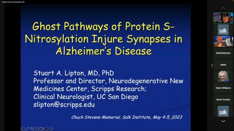 Thumbnail for Stuart Lipton - Ghost pathways via protein S-Nitrosylation injure synapses in Alzheimer’s Disease