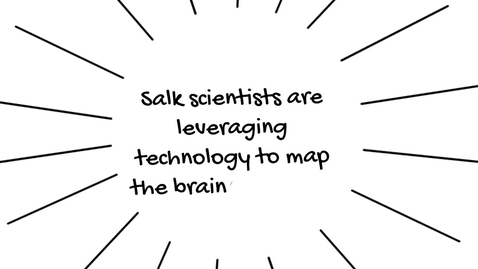 Thumbnail for Leveraging technology to map the brain's neurons