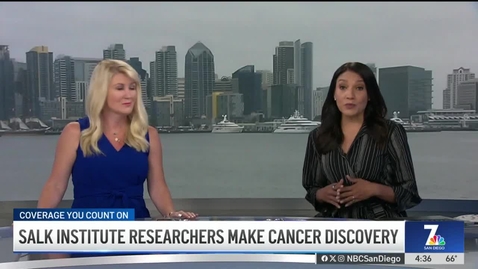 Thumbnail for Salk Institute Researchers Make Cancer Discovery