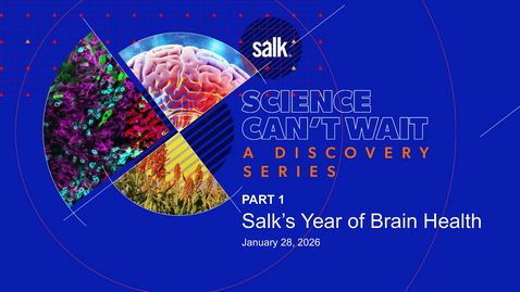 Thumbnail for Part I: Salk’s Year of Brain Health