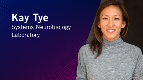 Thumbnail for From Then to When | Meet Salk Scientists | Kay Tye