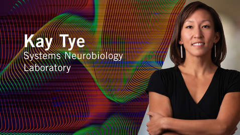 Thumbnail for Meet Our Scientists | Professor Kay Tye