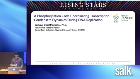 Thumbnail for Carlos Origel Marmolejo – A phosphorylation code coordinating transcription condensate dynamics and DNA replication