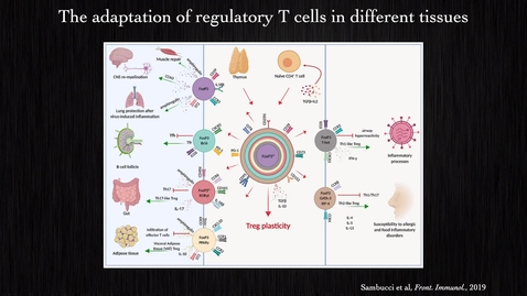 Thumbnail for Ye Zheng - REV-ERB as a key regulator of RORgt+ Treg cells and colon inflammation