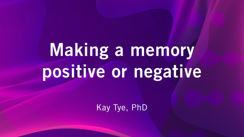 Thumbnail for entry Making a memory positive or negative