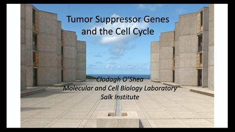 Thumbnail for Clodagh O'Shea - Tumor Suppressor Genes and the Cell Cycle