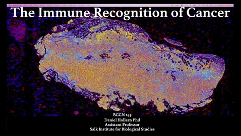 Thumbnail for Dan Hollern - Information processing and anti-tumor immune responses