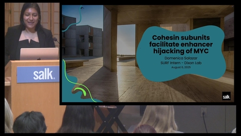 Thumbnail for Surf Capstone - Domenica Salazar