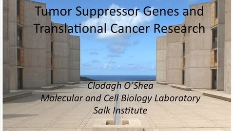 Thumbnail for Clodagh O’Shea – Tumor Suppressor Genes and Translational Cancer Research