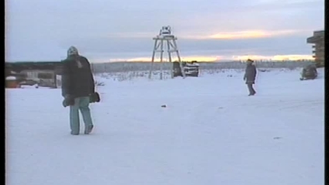 Thumbnail for Old crow Christmas