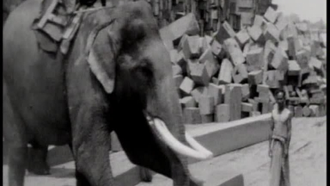 Thumbnail for George Orwell: a life in pictures