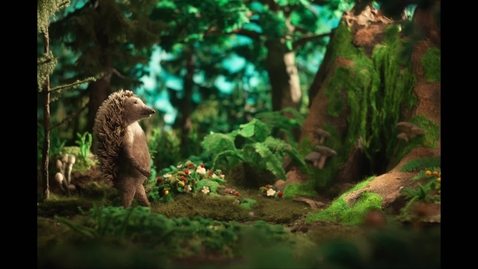 Thumbnail for Hedgehog’s Home