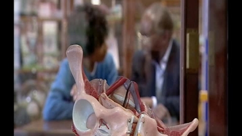 Thumbnail for Who Do You Think You Are? : Moira Stuart