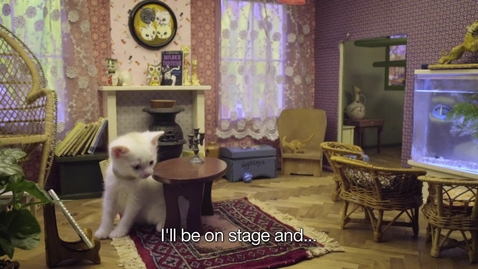 Thumbnail for The Cats from Kitten Lane