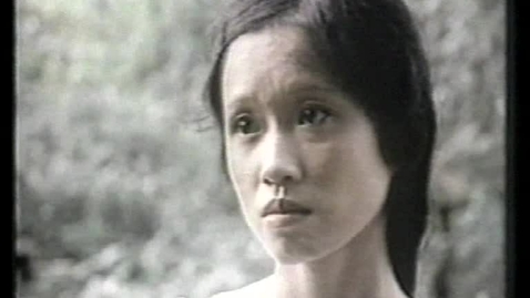 Thumbnail for Four hours in My Lai