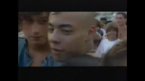 Thumbnail for The seals