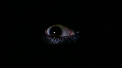 Thumbnail for Echelon: the global surveillance