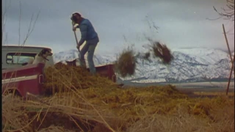 Thumbnail for A cowhand's song: Crisis on the range