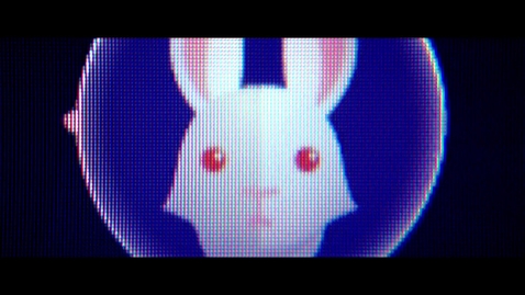 Thumbnail for The White Rabbit
