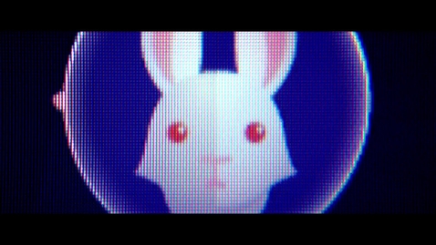 Thumbnail for entry The White Rabbit