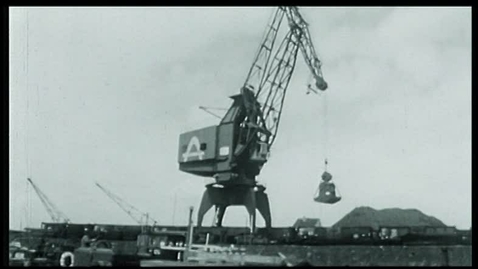 Thumbnail for The Tale of the White Whale