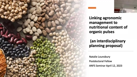 Thumbnail for ANFS Seminar: 12 April 2023 - Natalie Lounsbury