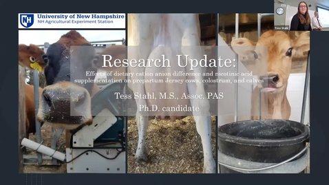 Thumbnail for ANFS Seminar: 1 March 2023 - Tess Stahl