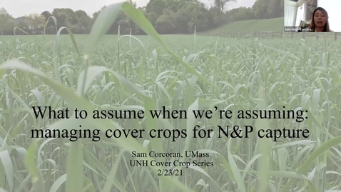 Thumbnail for Getting Even More Out of Your Cover Crops - Dairy &amp; Livestock