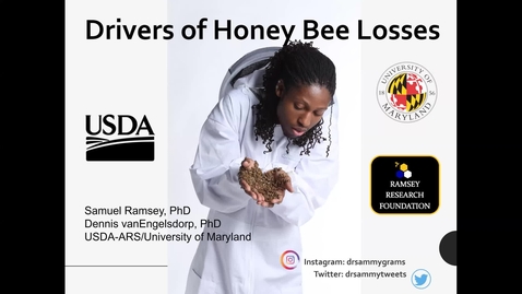 Thumbnail for Dr. Samuel Ramsey:  Drivers of Honey Bee Colony Losses: What the Data Actually Say, Presented by the NH Beekeepers Association