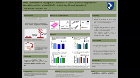 Thumbnail for Does Treatment with Angiogenic Factors (VEGFA and FGF2) Increase Expression of Hypoxia-Inducible 1 alpha (HIF1a) in Bovine Steroidogenic Luteal Cells?