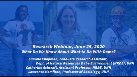 Thumbnail for Research Webinar: What Do We Know About What to Do With Dams?