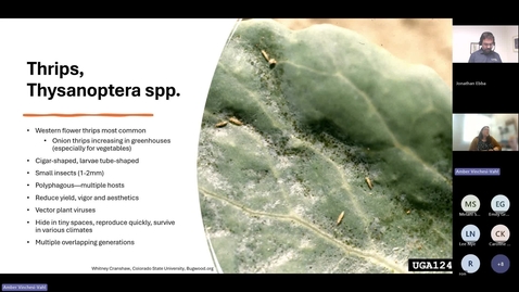 Thumbnail for &quot;Other&quot; thrips in the greenhouse: an overview.mp4