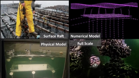 Thumbnail for 3MT 2016 - Toby Dewhurst, Mechanical Engineering