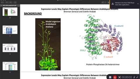 Thumbnail for entry #53 Expression Levels May Explain Phenotypic Differences Between Arabidopsis Mutants