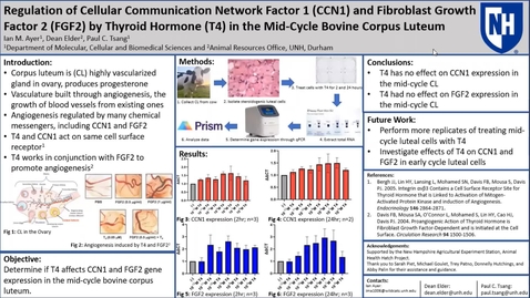 Thumbnail for entry Regulation of Cellular Communication Network Factor 1 (CCN1) and Fibroblast Growth Factor 2 (FGF2) by Thyroid Hormone (T4) in the Bovine Corpus Luteum