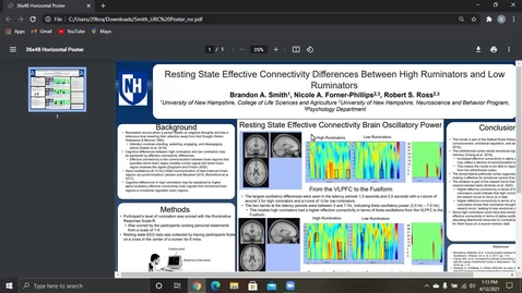 Thumbnail for entry Resting State Effective Connectivity Differences Between High Ruminators and Low Ruminators