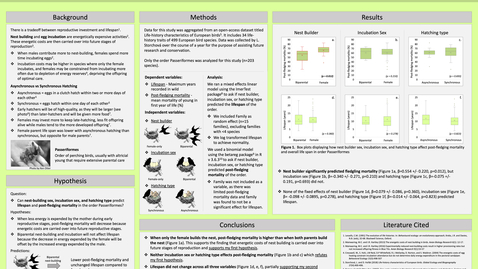 Thumbnail for entry Do Life-History Traits Predict Life Span and Post-fledging Mortality in the Order Passeriformes?