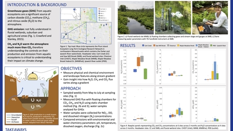 Thumbnail for Stream Greenhouse Gas Emissions Along a Wetland Gradient in the Ipswich River, Massachusetts