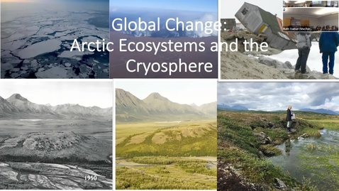 Thumbnail for entry Global change &amp; Arctic systems - Dr. Ruth Varner (trimmed)