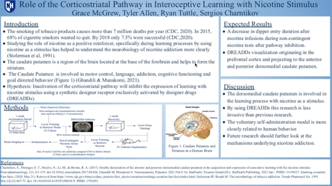 Thumbnail for Role of the Corticostraital Pathway in Learning with Nicotine Stimulus
