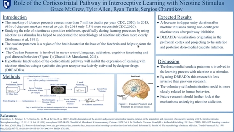 Thumbnail for entry Role of the Corticostraital Pathway in Learning with Nicotine Stimulus