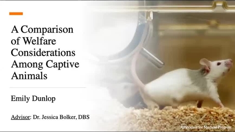 Thumbnail for A Comparison of Welfare Considerations Among Captive Animals
