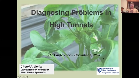 Thumbnail for 2020 High Tunnel Conference: High Tunnels After Dark, Session II