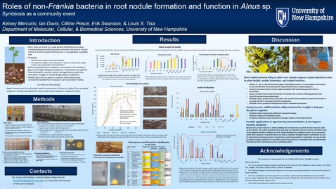 Thumbnail for entry Roles of non-Frankia bacteria in root nodule formation and function in Alnus sp.