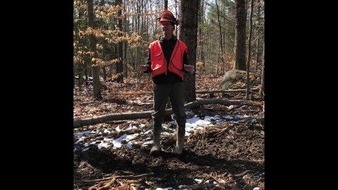 Thumbnail for The forester loves his job