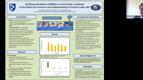 Thumbnail for Did Bioaccumulation of BMAA in a Food Chain Contribute to the Death of a Common Loon (Gavia immer) in Province Lake, NH?