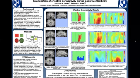 Thumbnail for entry Examination of effective connectivity during cognitive flexibility 