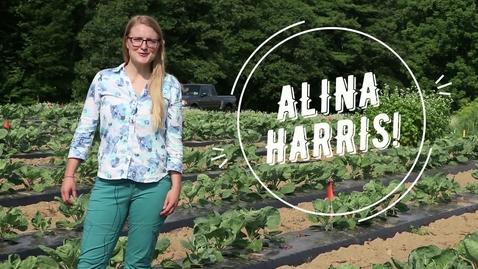 Thumbnail for Alina Harris, UNH Agricultural Sciences Grad Student