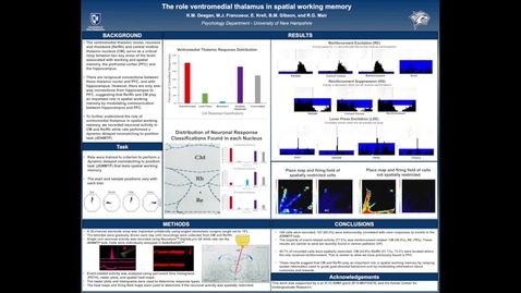 Thumbnail for entry The Role of Ventromedial Thalamus in Spatial Working Memory